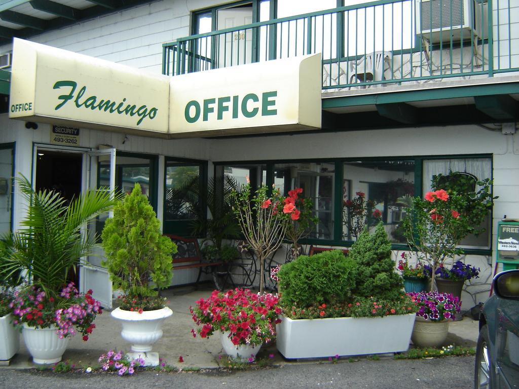 Flamingo Motel Penticton Eksteriør billede